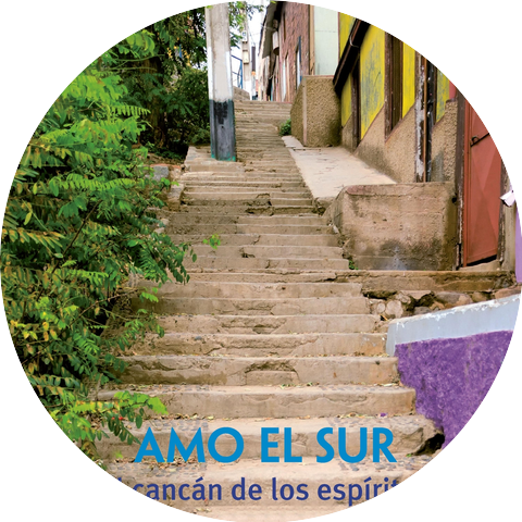 Amo el Sur