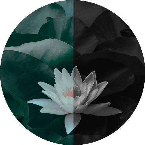 Hyrix