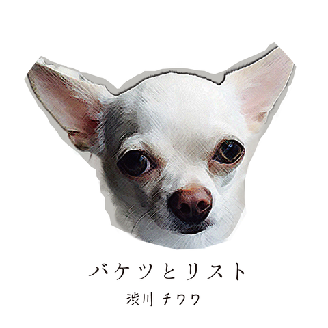 Chiwawa Shibukawa