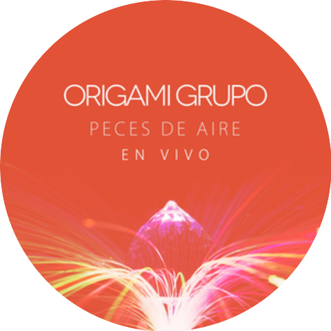 Origami Grupo