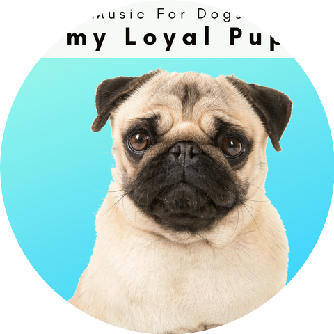 Music For Dogs