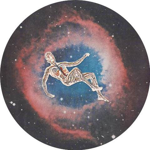Anemoria