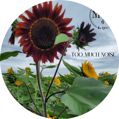 Meghan Cristeen Martin & the 1900