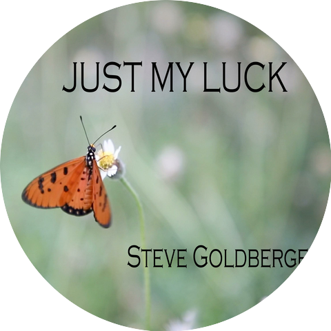 Steve Goldberger