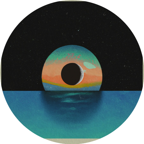 Elephants in Silent Rooms