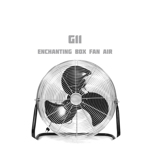 G.11