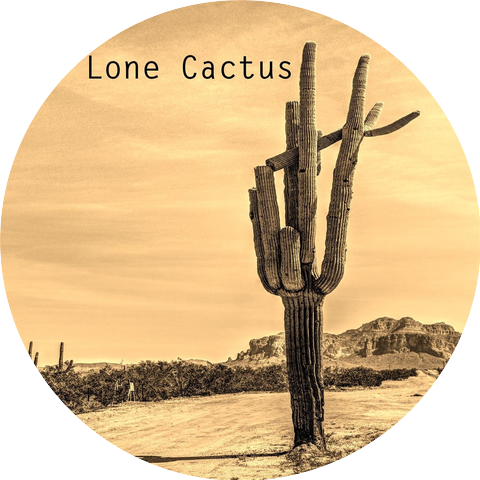 The Lone Cactus