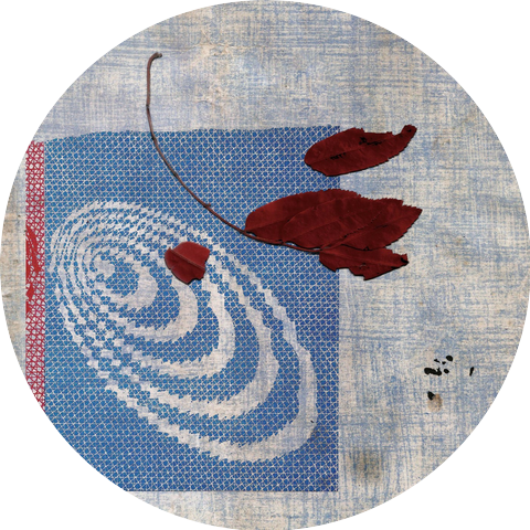 Таня Прошина