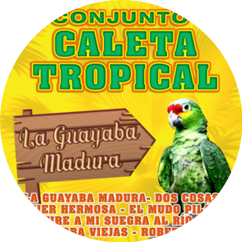 Conjunto Caleta Tropical