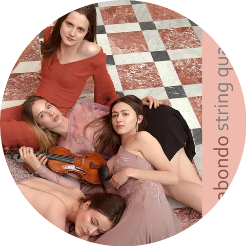 Vagabondo String Quartet