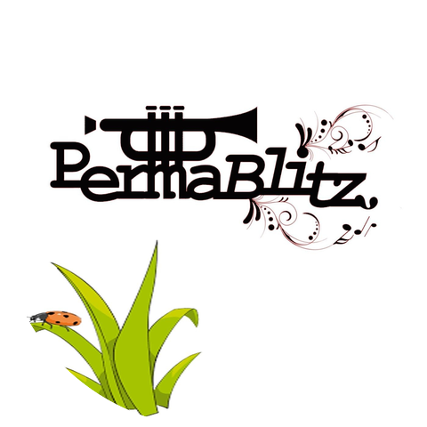 Permablitz