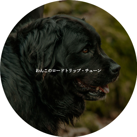 Smooth Dinner Jazz Group