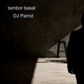 DJ Parrot