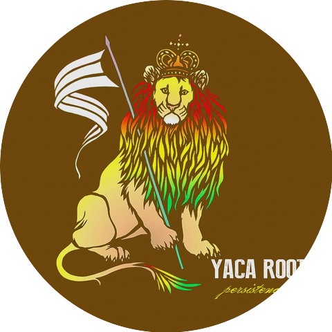 Yaca Roots