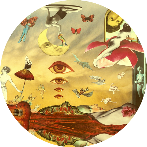 The Midnight Revolution