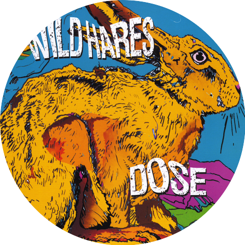 Wild Hares