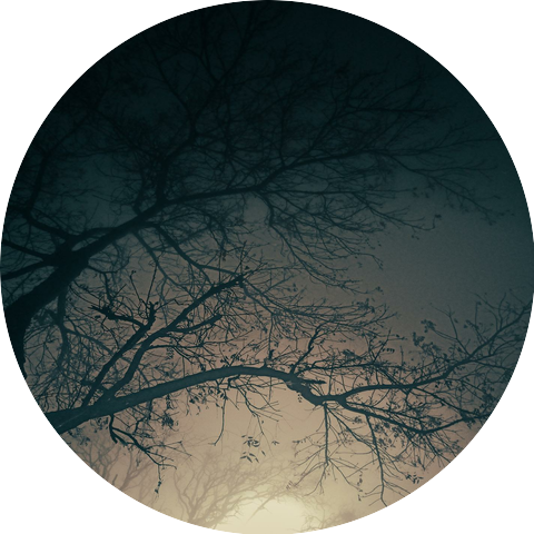 Matthew VandenBrook