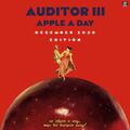 Auditor III