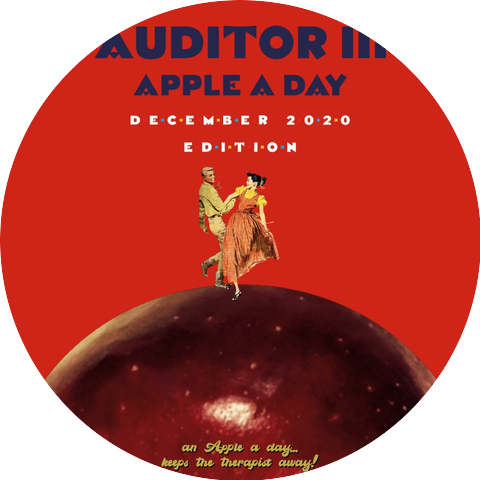 Auditor III