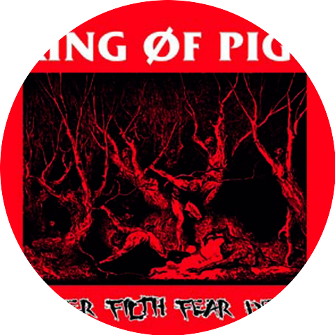 King of Pigs
