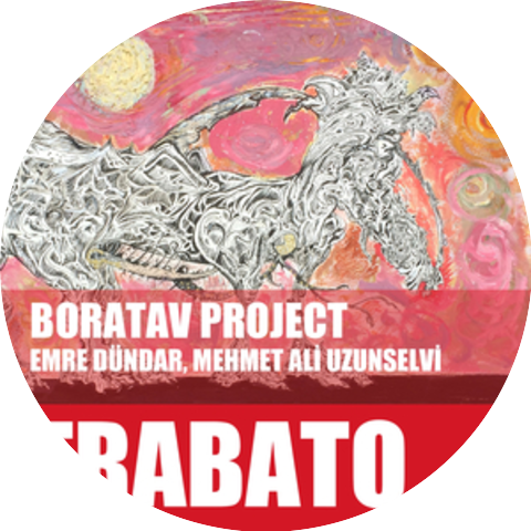 Boratav Project