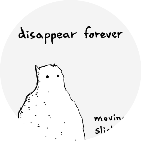 Disappear Forever