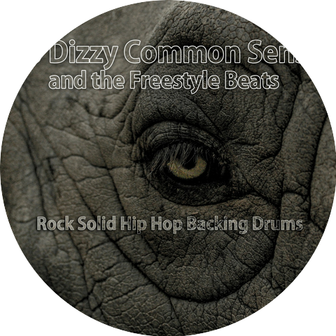 DJ Dizzy Common Sense and the Freestyle Beats