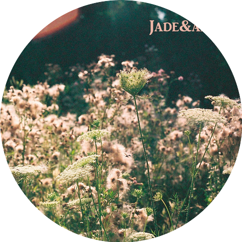 Jade & Arbor