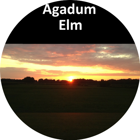 Agadum