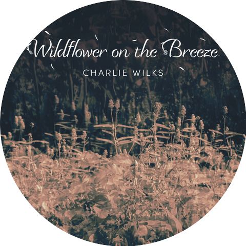Charlie Wilks