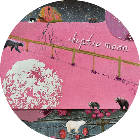 Skeptic Moon