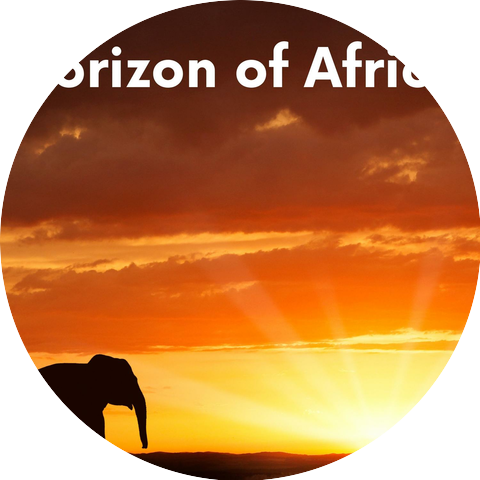 African Instrumental Music