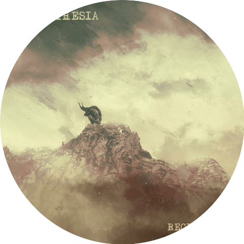 Somaesthesia