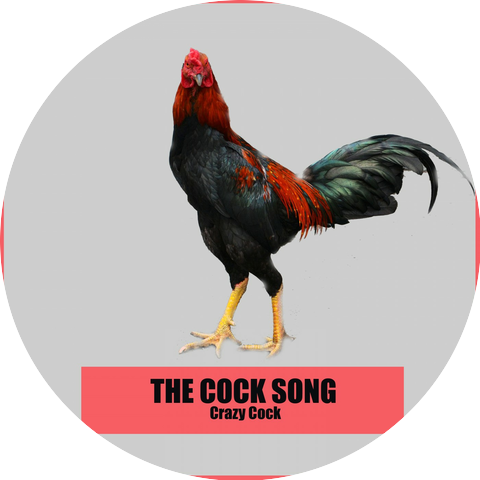 Crazy Cock