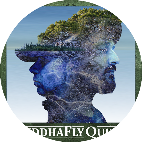 BuddhaFly Quest