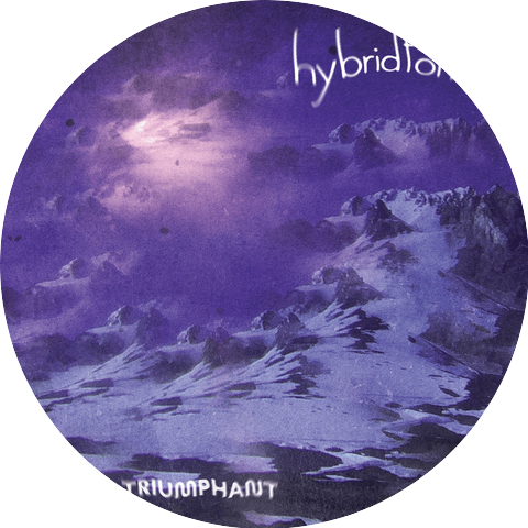 Hybrid Forms