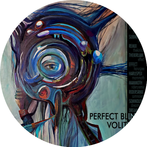 Perfect Blind