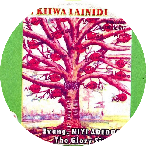 Evang Niyi Adedokun