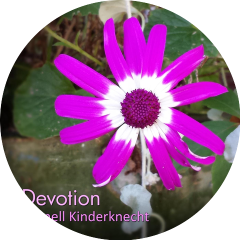 Cornell Kinderknecht