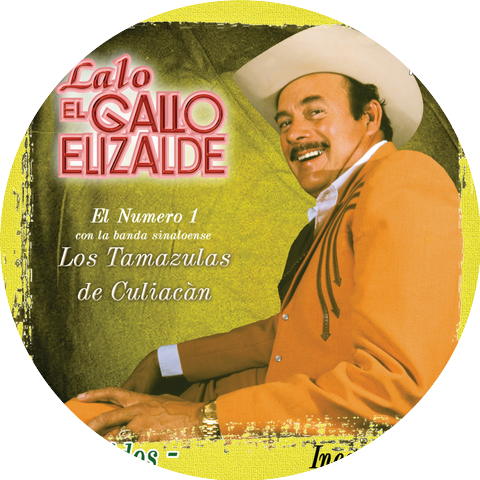 Lalo El Gallo Elizalde & Los Tamazulas de Culiacán