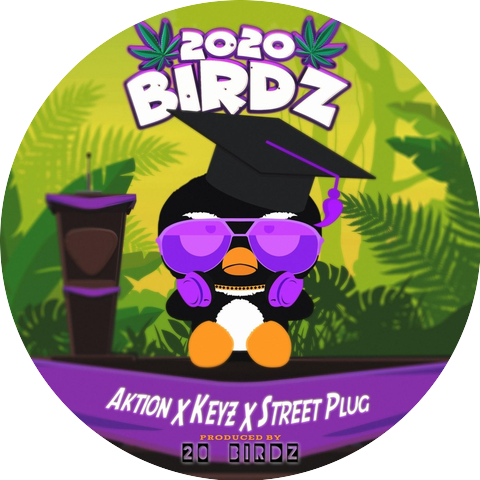 20 Birdz