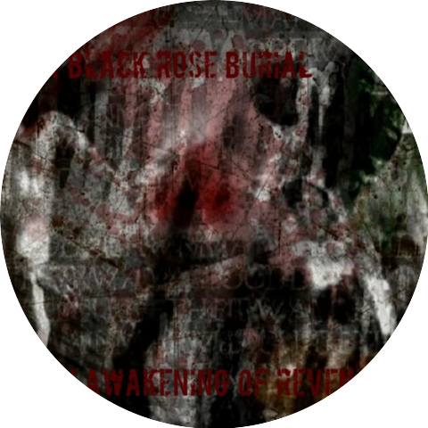 A Black Rose Burial