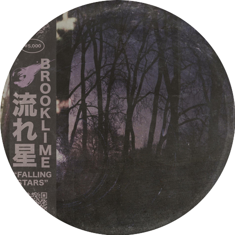 Brooklime