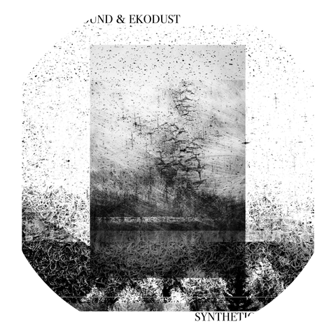 Ekodust