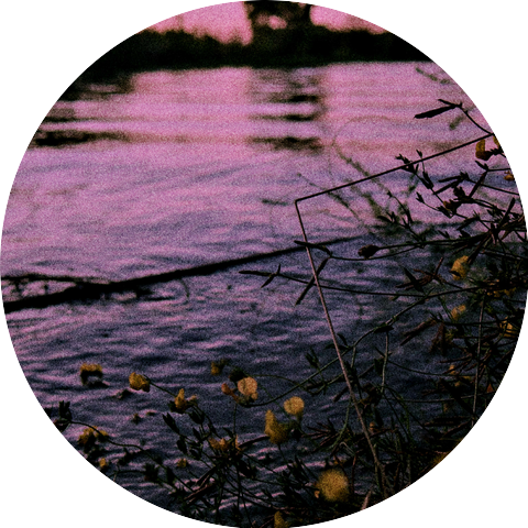 Bando - Brandon G