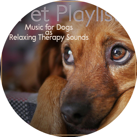 Dog Music Zone & Dog Music Dreams