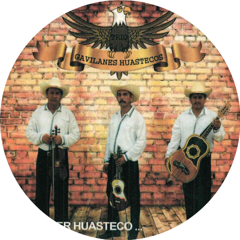 Trio Gavilanes Huastecos