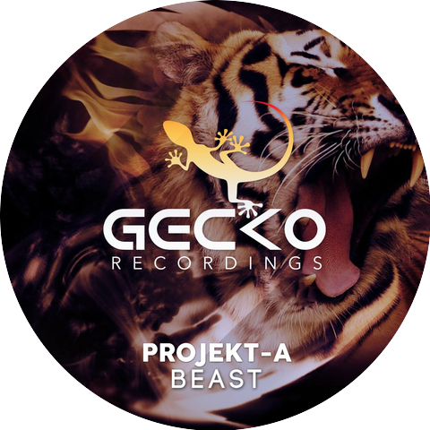 Projekt-A