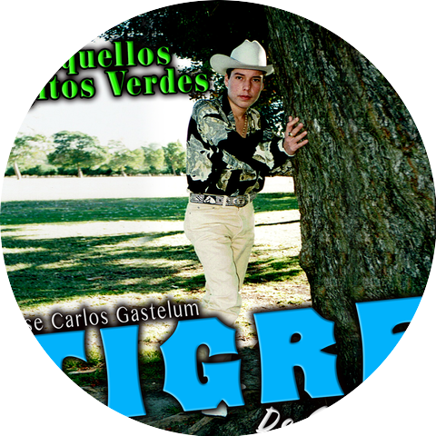 Jose Carlos Gastelum El Tigre De Culiacan