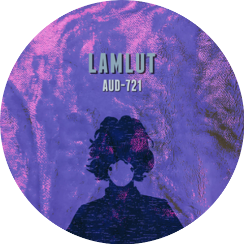 LAMLUT